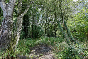 Photo 56- click for photo gallery